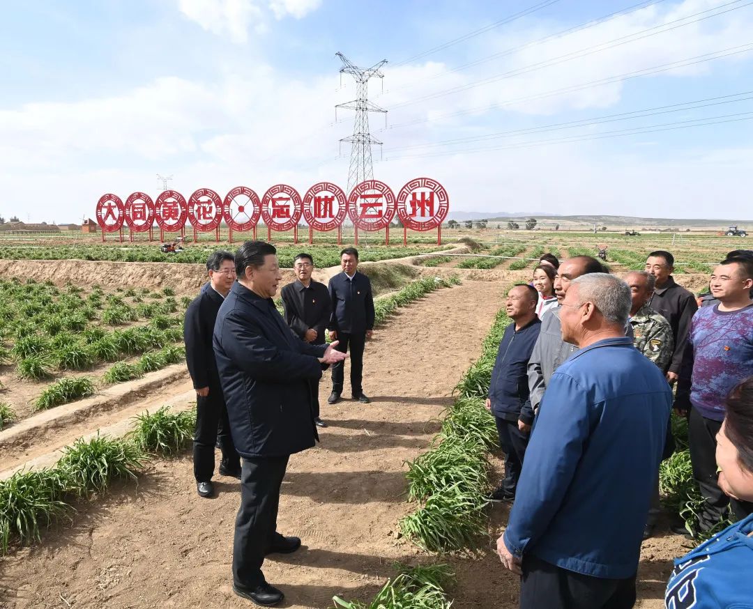 2020年5月11日，習(xí)近平考察山西大同市云州區(qū)有機黃花標(biāo)準(zhǔn)化種植基地。新華社記者 李學(xué)仁 攝