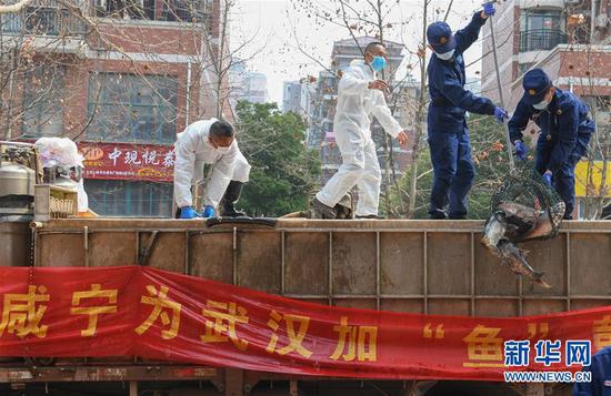 3月13日，一批運到湖北省武漢市硚口區(qū)華生漢口城市廣場社區(qū)的活魚在卸貨。當日，首批100噸調(diào)配自咸寧市的活魚運抵武漢市硚口區(qū)11個街道下轄社區(qū)。 新華社記者 程敏 攝